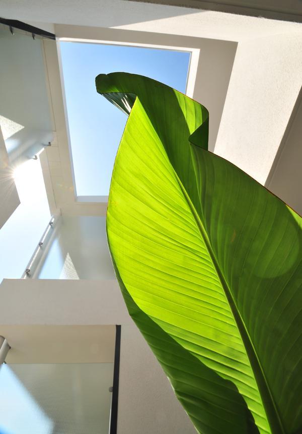 Hotel Eden Park Pau Est, Avec Piscine Zewnętrze zdjęcie
